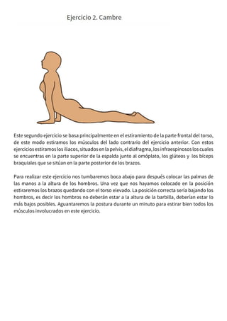 Este segundo ejercicio se basa principalmente en el estiramiento de la parte frontal del torso,
de este modo estiramos los músculos del lado contrario del ejercicio anterior. Con estos
ejerciciosestiramoslos iliacos,situadosenla pelvis,el diafragma, losinfraespinososlos cuales
se encuentras en la parte superior de la espalda junto al omóplato, los glúteos y los bíceps
braquiales que se sitúan en la parte posterior de los brazos.
Para realizar este ejercicio nos tumbaremos boca abajo para después colocar las palmas de
las manos a la altura de los hombros. Una vez que nos hayamos colocado en la posición
estiraremos los brazos quedando con el torso elevado. La posición correcta sería bajando los
hombros, es decir los hombros no deberán estar a la altura de la barbilla, deberían estar lo
más bajos posibles. Aguantaremos la postura durante un minuto para estirar bien todos los
músculos involucrados en este ejercicio.
 