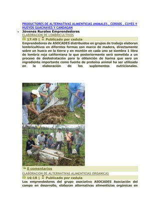 PRODUCTORES DE ALTERNATIVAS ALIMENTICIAS ANIMALES , CERDOS , CUYES Y HUEVOS GUACHAVES Y CANDAGAN  Jóvenes Rurales Emprendedores ELABORACION DE LOMBRICULTIVOS 17:49 | Publicado por cedula Emprendedores de ASOCADES distribuidos en grupos de trabajo elaboran lombricultivos en diferntes formas con marco de madera, directamente sobre un hueco en la tierra y en montón en cada uno se siembra 1 libra de lombriz roja californiana la que posteriormente será sometida a un proceso de deshidratación para la obtención de harina que sera un ingrediente importante como fuente de proteína animal ha ser utilizada en la elaboración de los suplementos nutricionales. 0 comentarios ELABORACION DE ALTERNATIVAS ALIMENTICIAS ORGANICAS 16:18 | Publicado por cedula Los emprendedores del grupo asociativo ASOCADES Asociación del campo en desarrollo, elaboran alternativas alimenticias orgánicas en  