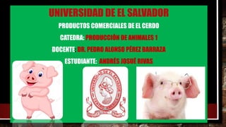 UNIVERSIDAD DE EL SALVADOR
PRODUCTOS COMERCIALES DE EL CERDO
CATEDRA: PRODUCCIÓN DE ANIMALES 1
DOCENTE: DR. PEDRO ALONSO PÉREZ BARRAZA
ESTUDIANTE: ANDRÉS JOSUÉ RIVAS
 