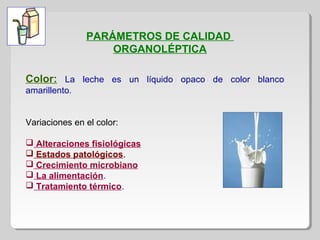 PARÁMETROS DE CALIDAD
ORGANOLÉPTICA
Color: La leche es un líquido opaco de color blanco
amarillento.
Variaciones en el color:
 Alteraciones fisiológicas
 Estados patológicos.
 Crecimiento microbiano
 La alimentación.
 Tratamiento térmico.
 