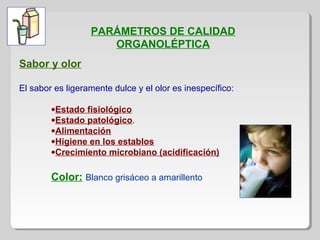 PARÁMETROS DE CALIDAD
ORGANOLÉPTICA
Sabor y olor
El sabor es ligeramente dulce y el olor es inespecífico:
•Estado fisiológico
•Estado patológico.
•Alimentación
•Higiene en los establos
•Crecimiento microbiano (acidificación)
Color: Blanco grisáceo a amarillento
 