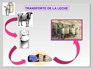 TRANSPORTE DE LA LECHETRANSPORTE DE LA LECHE
 