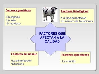 FACTORES QUE
AFECTAN A LA
CALIDAD
Factores genéticos
•La especie
•La raza
•El individuo
Factores genéticos
•La especie
•La raza
•El individuo
Factores fisiológicos
•La fase de lactación
•El número de lactaciones
Factores fisiológicos
•La fase de lactación
•El número de lactaciones
Factores de manejo
•La alimentación
•El ordeño
Factores de manejo
•La alimentación
•El ordeño
Factores patológicos
•La mamitis
Factores patológicos
•La mamitis
 