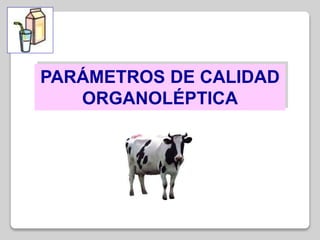 PARÁMETROS DE CALIDAD
ORGANOLÉPTICA
 