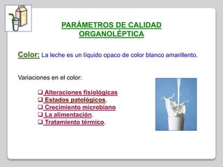 PARÁMETROS DE CALIDAD
ORGANOLÉPTICA
Color: La leche es un líquido opaco de color blanco amarillento.
Variaciones en el color:
 Alteraciones fisiológicas
 Estados patológicos.
 Crecimiento microbiano
 La alimentación.
 Tratamiento térmico.
 