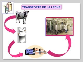 TRANSPORTE DE LA LECHE
 