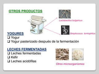 OTROS PRODUCTOS
YOGURES
 Yogur
 Yogur pasterizado después de la fermentación
LECHES FERMENTADAS
 Leches fermentadas
 Kéfir
 Leches acidófilas
Lactobacillus bulgaricus
Streptococos termophilus
Otros microorganismos
 