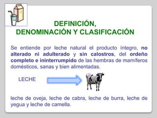 DEFINICIÓN,
DENOMINACIÓN Y CLASIFICACIÓN
Se entiende por leche natural el producto íntegro, no
alterado ni adulterado y sin calostros, del ordeño
completo e ininterrumpido de las hembras de mamíferos
domésticos, sanas y bien alimentadas.
LECHE
leche de oveja, leche de cabra, leche de burra, leche de
yegua y leche de camella.
 
