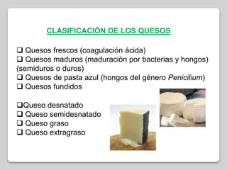  Quesos frescos (coagulación ácida)
 Quesos maduros (maduración por bacterias y hongos)
(semiduros o duros)
 Quesos de pasta azul (hongos del género Penicilium)
 Quesos fundidos
Queso desnatado
 Queso semidesnatado
 Queso graso
 Queso extragraso
CLASIFICACIÓN DE LOS QUESOS
 