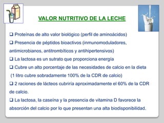  Proteínas de alto valor biológico (perfil de aminoácidos)
 Presencia de péptidos bioactivos (inmunomoduladores,
antimicrobianos, antitrombíticos y antihipertensivos)
 La lactosa es un sutrato que proporciona energía
 Cubre un alto porcentaje de las necesidades de calcio en la dieta
(1 litro cubre sobradamente 100% de la CDR de calcio)
 2 raciones de lácteos cubriría aproximadamente el 60% de la CDR
de calcio.
 La lactosa, la caseína y la presencia de vitamina D favorece la
absorción del calcio por lo que presentan una alta biodisponibilidad.
VALOR NUTRITIVO DE LA LECHE
 