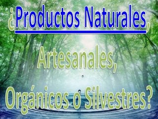¿Que Son los Productos Naturales, Orgánicos, Silvestres, y Artesanales en Santiago, Chile?
