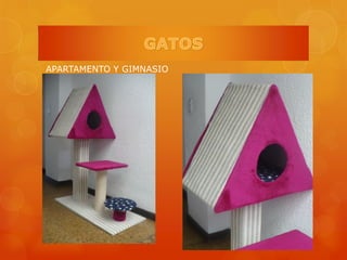 APARTAMENTO Y GIMNASIO
 