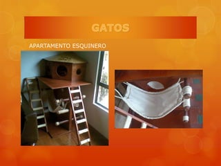 APARTAMENTO ESQUINERO
 