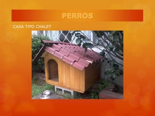 CASA TIPO CHALET
 