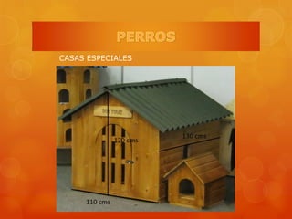 CASAS ESPECIALES
 