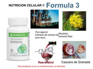 NUTRICION CELULAR !! 
Rhodiola: 
Extracto Raiz 
Cascara de Granada 
Pycnogenol: 
Extracto de corteza de 
pino seco 
Este producto no es un medicamento, es alimento 
 