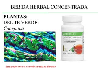BEBIDA HERBAL CONCENTRADA 
PLANTAS: 
DEL TE VERDE: 
Catequina 
Este producto no es un medicamento, es alimento 
 