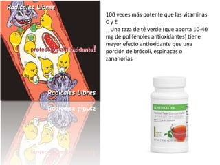 100 veces más potente que las vitaminas 
C y E 
_ Una taza de té verde (que aporta 10-40 
mg de polifenoles antioxidantes) tiene 
mayor efecto antioxidante que una 
porción de brócoli, espinacas o 
zanahorias 
Radicales Libres 
… protección antioxidante! 
Radicales Libres 
 