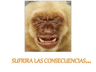 SUFRIRA LAS CONSECUENCIAS… 
 
