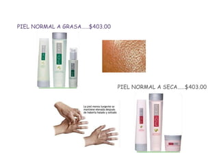 PIEL NORMAL A GRASA……$403.00 PIEL NORMAL A SECA……$403.00 
