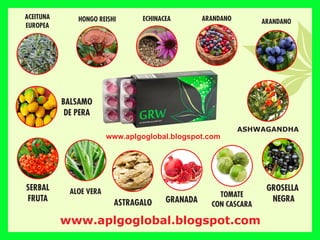 ECHINACEA ARANDANO ARANDANO
HONGO REISHI
ACEITUNA
EUROPEA
TOMATE
CON CASCARA
ALOE VERA
ASTRAGALO
BALSAMO
DE PERA
GROSELLA
NEGRA
GRANADA
SERBAL
FRUTA
ASHWAGANDHA
www.aplgoglobal.blogspot.com
www.aplgoglobal.blogspot.com
 