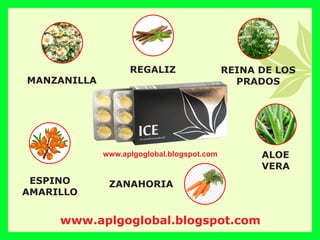 www.aplgoglobal.blogspot.com
ESPINO
AMARILLO
REINA DE LOS
PRADOS
REGALIZ
MANZANILLA
ZANAHORIA
ALOE
VERA
www.aplgoglobal.blogspot.com
 