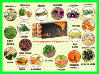 TOMILLO
REGALIZ ECHINACEA ARANDANO
FENOGRECO
MANZANILLA
ORO
BLANCO
CANELA
ALCACHOFA
CURCUMA
JENGIBRE (KION)
DIENTE
DE LEON
CLAVO DE OLOR
GROSELLA NEGRA
SEMILLAS DE
CALABAZA
PAPAYA MANDARINA TORONJA
CILANDRO
www.aplgoglobal.blogspot.com
 