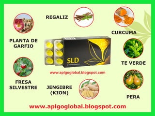 www.aplgoglobal.blogspot.com
FRESA
SILVESTRE
PERA
REGALIZ
CURCUMA
JENGIBRE
(KION)
TE VERDE
www.aplgoglobal.blogspot.com
PLANTA DE
GARFIO
 