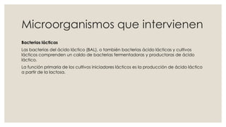 Microorganismos que intervienen
Bacterias lácticas
Las bacterias del ácido láctico (BAL), o también bacterias ácido lácticas y cultivos
lácticos comprenden un caldo de bacterias fermentadoras y productoras de ácido
láctico.
La función primaria de los cultivos iniciadores lácticos es la producción de ácido láctico
a partir de la lactosa.
 