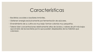 Características
◦ Bactérias cocoides o bacilares inmóviles.
◦ Obtienen energía exclusivamente por fermentación de azúcares.
◦ El rendimiento de su cultivo es muy bajo: forman colonias muy pequeñas.
◦ Toleran bien concentraciones relativamente altas de ácidos y valores de pH más bajos
  que el resto de las bacterias por lo que pueden desplazarlas de los hábitats que
  colonizan.
 