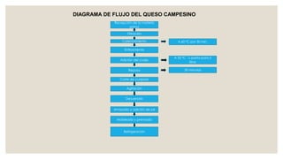 DIAGRAMA DE FLUJO DEL QUESO CAMPESINO
            Recepción de la materia
                    prima

                   Filtración

                Calentamiento            A 60 ºC por 30 min.

                  Enfriamiento

                                       A 35 ºC ¼ pasta para 2
               Adición del cuajo
                                                litros

                    Reposo                   30 minutos

               Corte de cuajada

                   Agitación


                  Desuerado


            Amasado y adición de sal


             Moldeado y prensado


                 Refrigeración
 