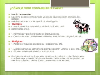 ¿CÓMO SE PUEDE CONTAMINAR LA CARNE?















La cría de animales
La carne puede contaminarse ya desde la producción primaria. Los
peligros
más importantes son los químicos y biológicos:
Químicos:
• Medicamentos veterinarios (antimicrobianos, antiparasitarios, etc.).
• Hormonas y promotores de las producciones.
• Contaminantes ambientales: dioxinas, insecticidas, plaguicidas, etc.
Biológicos:
• Parásitos: triquinas, cisticercos, toxoplasmas, etc.
• Microorganismos: Salmonella, Campilobacter, Listeria, E. coli, etc.
• Priones: enfermedad de las vacas locas.
El origen de los microbios puede ser el propio animal, o bien éste puede
contaminarse a través de otros animales, del hombre, de los pastos, del
medio ambiente o de vectores como moscas y roedores.

 