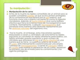 Su manipulación :





Manipulación de la carne
Antes de la muerte los tejidos comestibles de un animal sano se
pueden considerar estériles ya que se encuentran protegidos
de la contaminación bacteriana por la piel externa, que
funciona como una cubierta casi perfecta contra la agresión
microbiana. Además, el tracto intestinal sirve como barrera
efectiva que frena la inmensa masa de microorganismos que
contiene. Normalmente, cualquier microorganismo que
penetrase estas barreras sería destruido rápidamente por
las defensas naturales del organismo vivo.
Tras la muerte, sin embargo, estos mecanismos quedan
bloqueados o cesan su actividad y de esta forma los tejidos
expuestos se convierten en tejidos altamente perecederos. Los
tejidos animales quedan expuestos a gran número de
microbios que atraviesan la piel o el tracto intestinal sin una
barrera que les frene. La superficie externa de la piel, o
el cuero, está intensamente contaminada por una amplia
variedad de microorganismos. Cuando el carnicero clava
el cuchillo para realizar la separación de los cortes, aparecen
las primeras vías de entrada para los contaminantes y los
agentes patógenos.

 