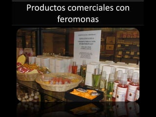 Productos comerciales con
       feromonas
 