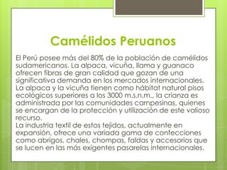 3. Camélidos sudamericanos