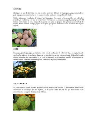 NISPERO
El níspero es una de las frutas con mayor sabor gustoso y delicado en Nicaragua. Aunque a menudo se
pela la pulpa antes de comerla, no es necesario quitar la cáscara para poder disfrutarlo.
Existen diferentes variedades de níspero en Nicaragua. En cuanto a forma pueden ser redondos,
ovalados, u ovalados y con uno de los extremos puntiagudos. La cáscara es delgada, color gris-café. El
tamaño varía según el tipo, aunque la mayoría son quizá un poquito más grandes que una bola de
béisbol. Existe también un tipo gigante en el país, que puede medir tres veces el tamaño del níspero
regular.
CAFE
Nicaragua, país tropical, posee excelentes sitios para la producción de café. Este fruto es originario de la
región afro-arábica, sin embargo, luego de su introducción a este país en el siglo XIX se ha logrado
obtener cosechas de gran calidad, y el café nicaragüense es actualmente ganador de competencias
internacionales y reconocido a nivel global, sobre todo en países conocedores.
FRUTA DE PAN
La fruta de pan es grande, ovalada, y crece sobre un árbol de gran tamaño. Es originaria de Malasia y fue
introducida en Nicaragua por los ingleses, en la costa Caribe. Es por ello que básicamente se le
encuentra en e sa región, donde es muy utilizada.
 