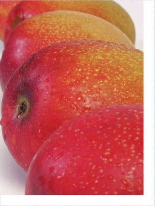 MangoMango




14 15 |15
   |15
 