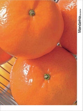 |17
16 17 |17
            MandarinaMandarine
 