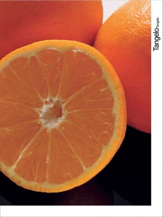 |19
18 19 |19
            TangeloTangelo
 