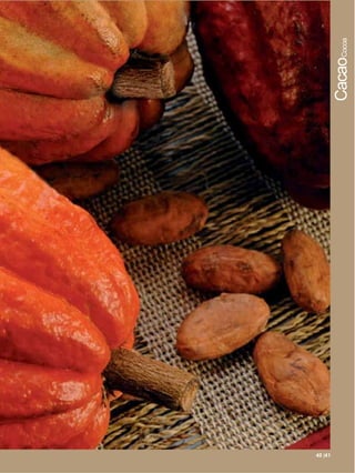 CacaoCocoa




40 41 |41
   |41
 