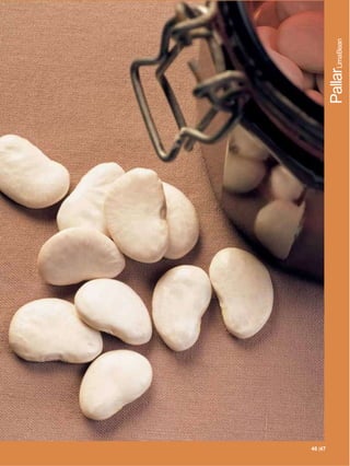 |47
46 47 |47
            PallarLimaBean
 