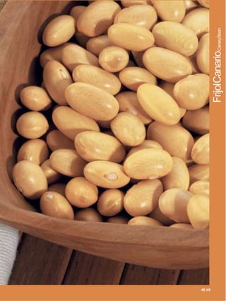 |49
48 49 |49
            FrijolCanarioCanaryBean
 