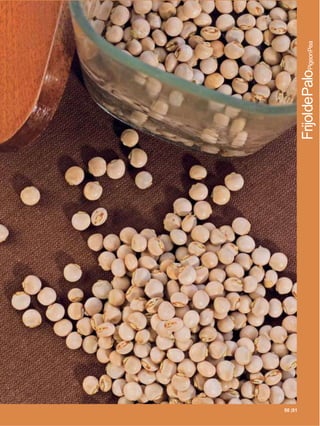 51
50 |51 |51
             FrijoldePaloPigeonPea
 