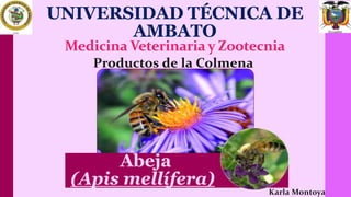 UNIVERSIDAD TÉCNICA DE
AMBATO
Medicina Veterinaria y Zootecnia
Productos de la Colmena

Abeja
(Apis mellífera)
Karla Montoya

 