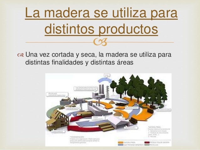 Cuáles Son Los Productos Derivados De La Madera www.slideshare.net