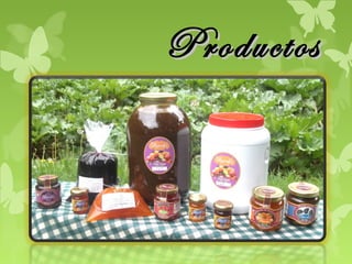 Productos
Duperly’s
 