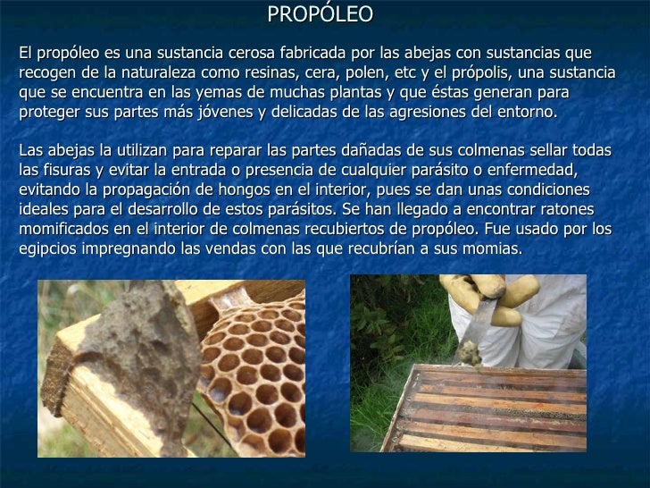 Los medios de los hongos en de baño