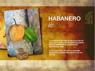 Productos endémicos de Yucatán