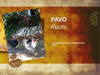 Productos endémicos de Yucatán