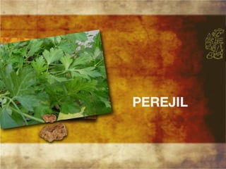 Productos endémicos de Yucatán